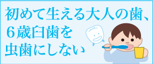 初めて生える大人の歯、6歳臼歯を虫歯にしない