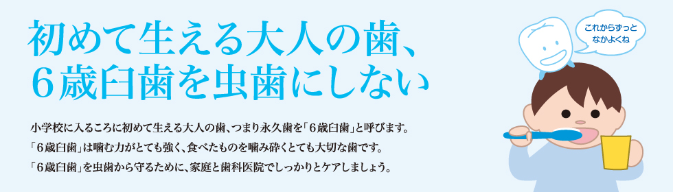 初めて生える大人の歯、６歳臼歯を虫歯にしない