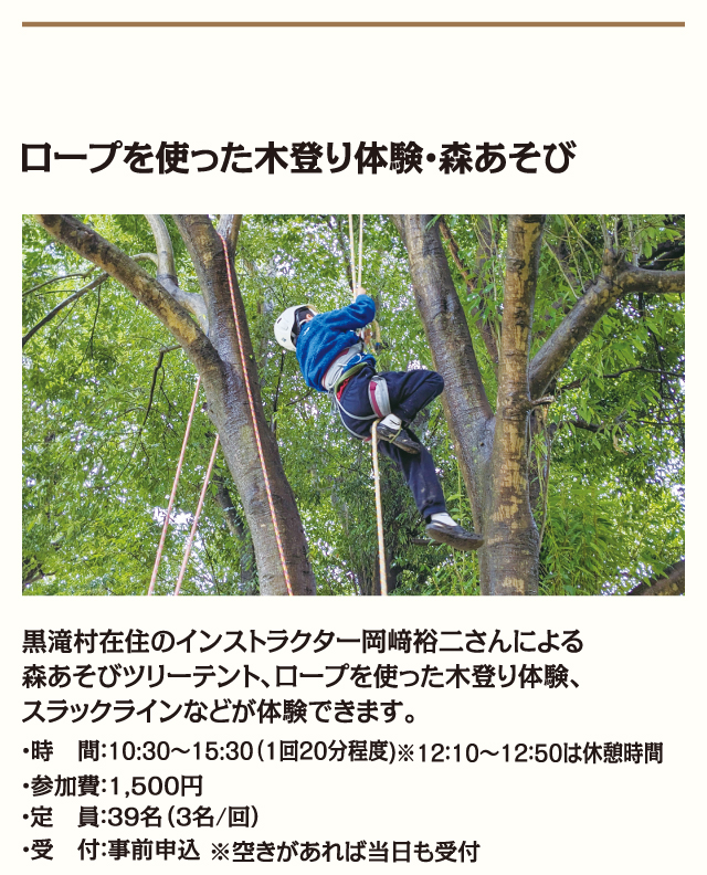 ロープを使った木登り体験・森あそび