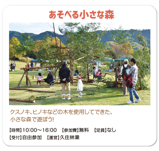 あそべる小さな森　クスノキ、ヒノキなどの木を使用してできた、小さな森で遊ぼう！