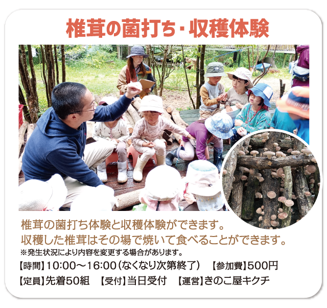 椎茸の菌打ち・収穫体験　椎茸の菌打ち体験と収穫体験ができます。　収穫した椎茸はその場で焼いて食べることができます。